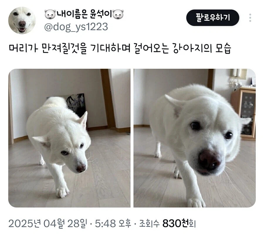 게시물 이미지