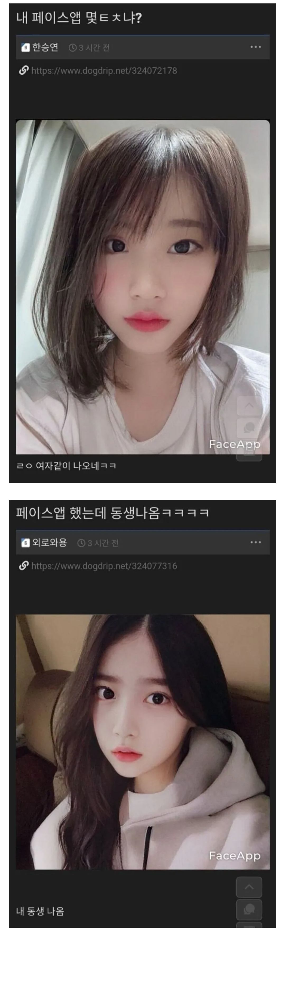게시물 이미지