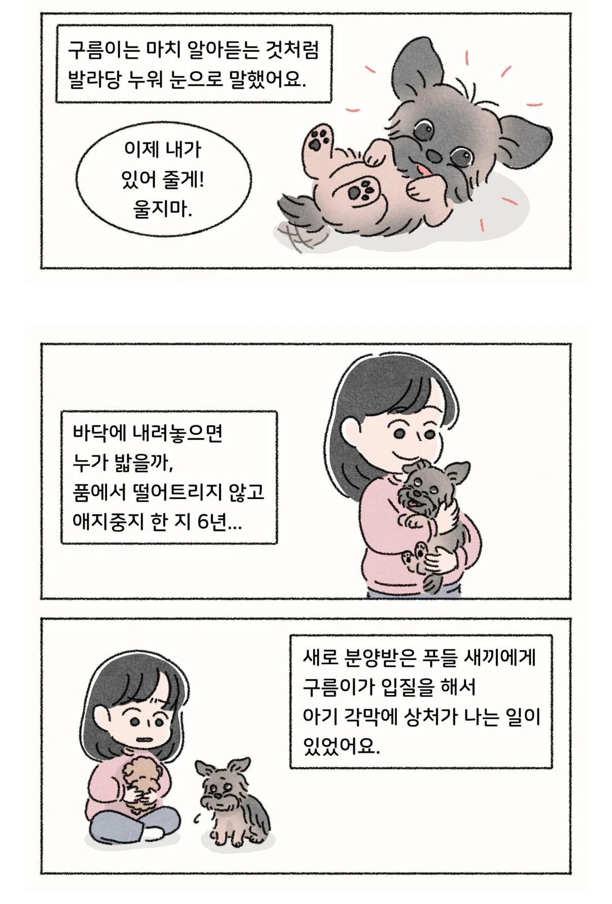 게시물 이미지