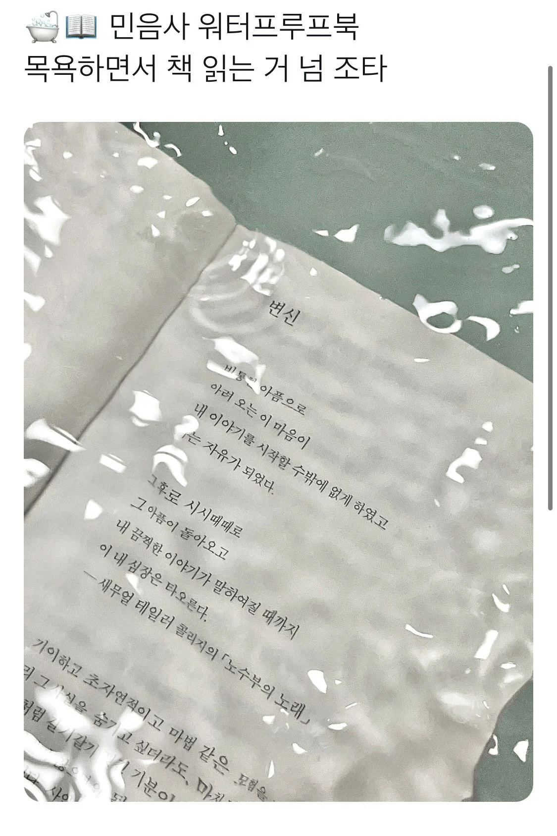 게시물 이미지