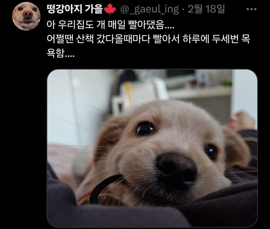게시물 이미지