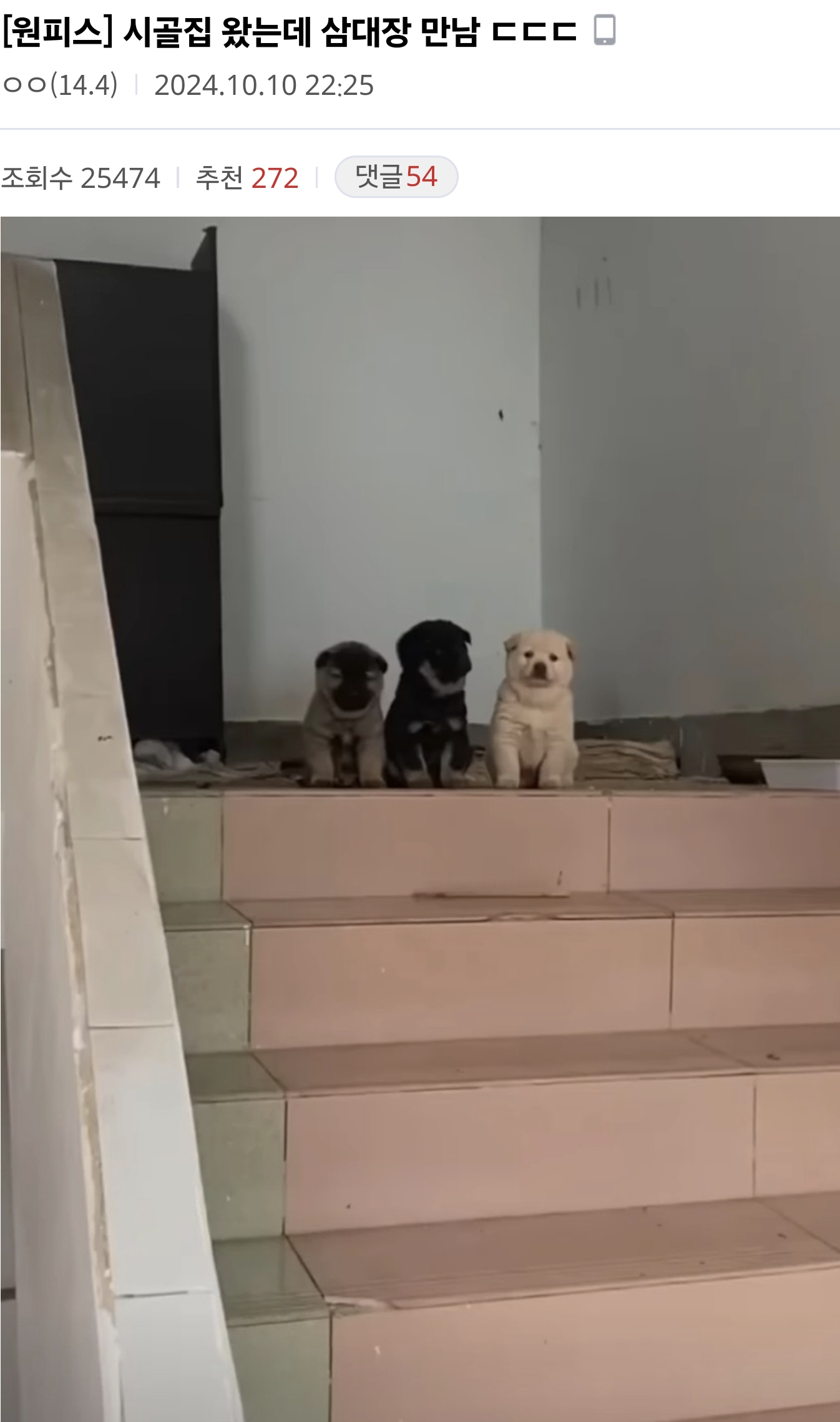 게시물 이미지