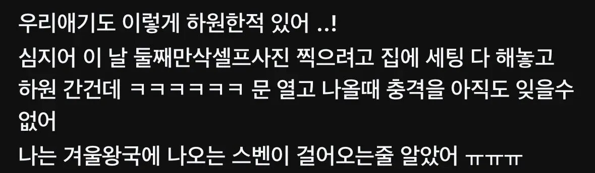게시물 이미지