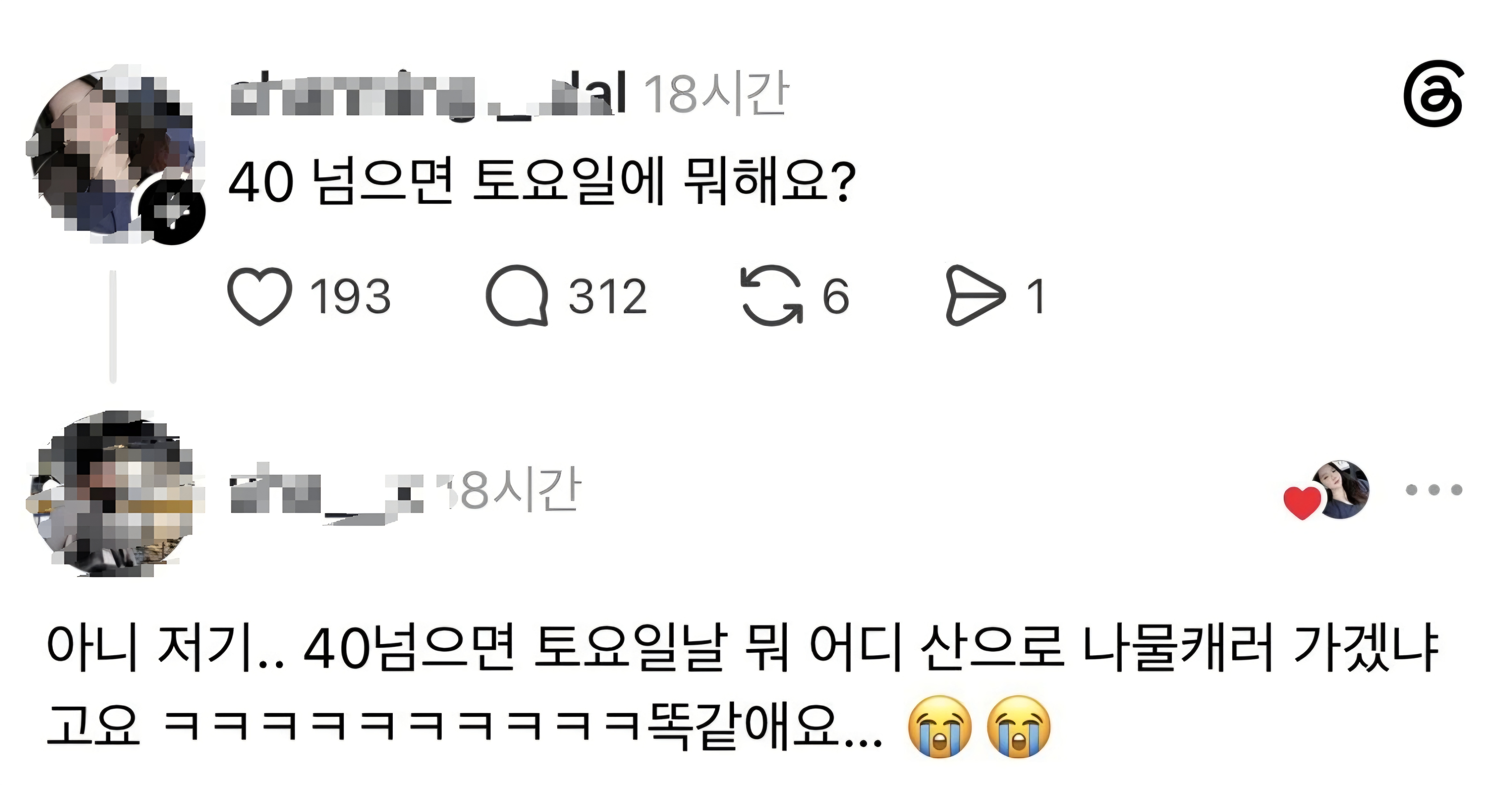 게시물 이미지