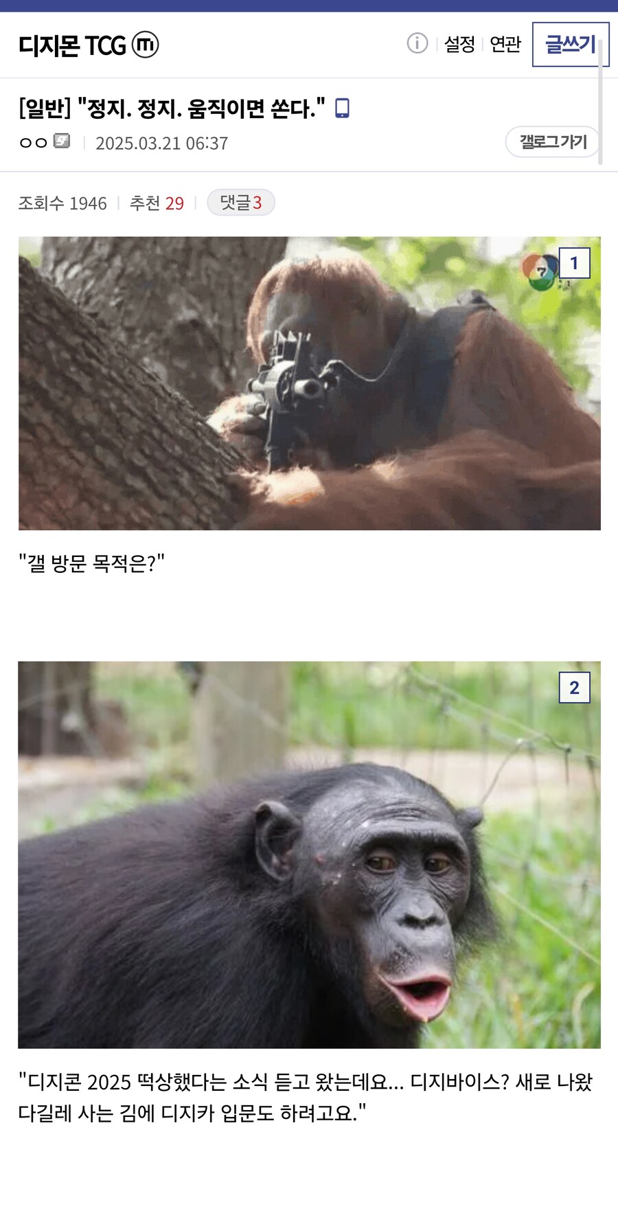 게시물 이미지