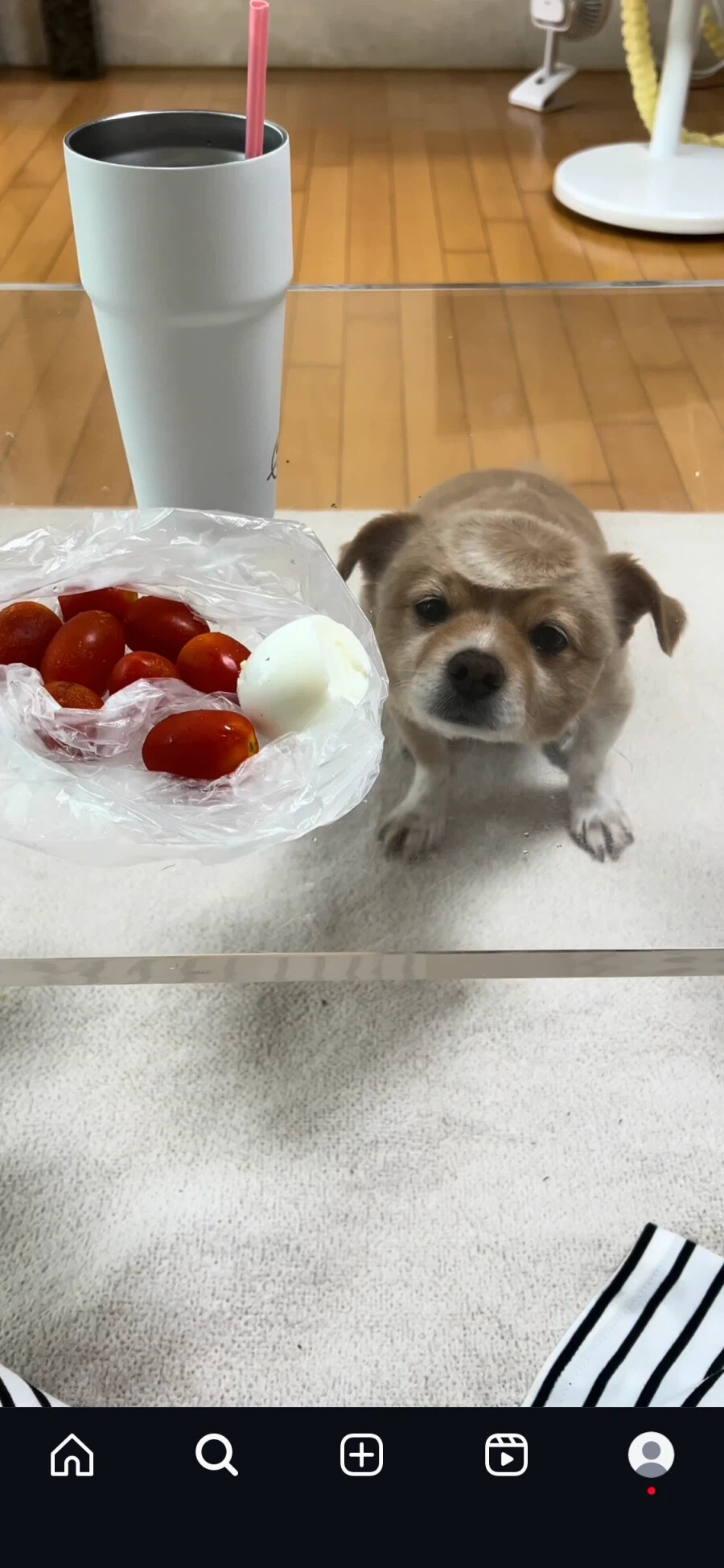 게시물 이미지