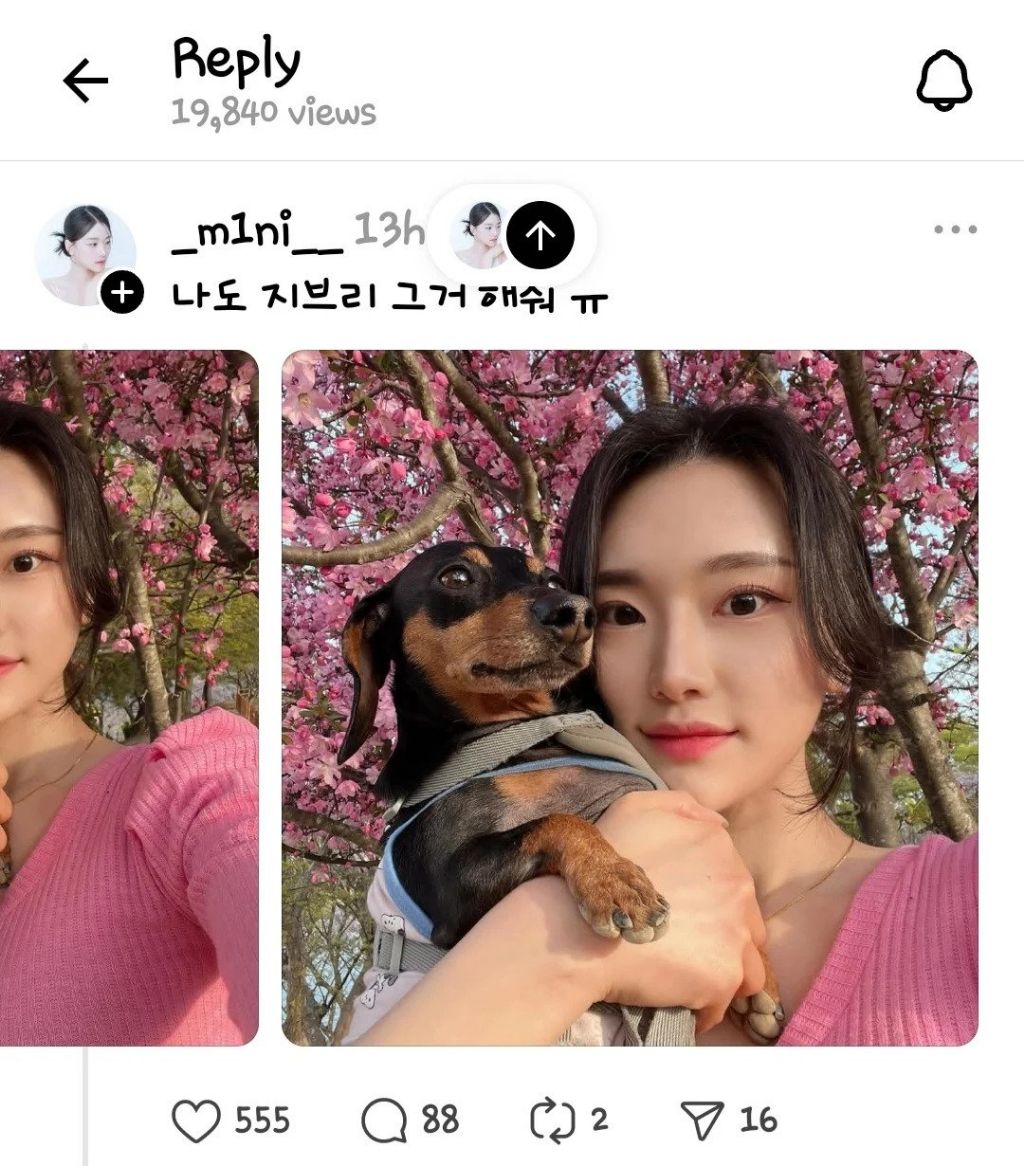 게시물 이미지