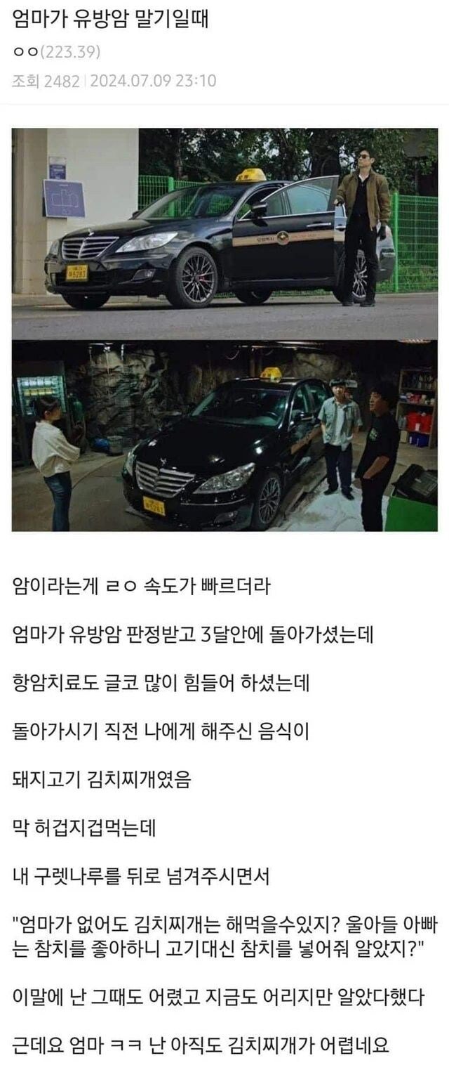 게시물 이미지