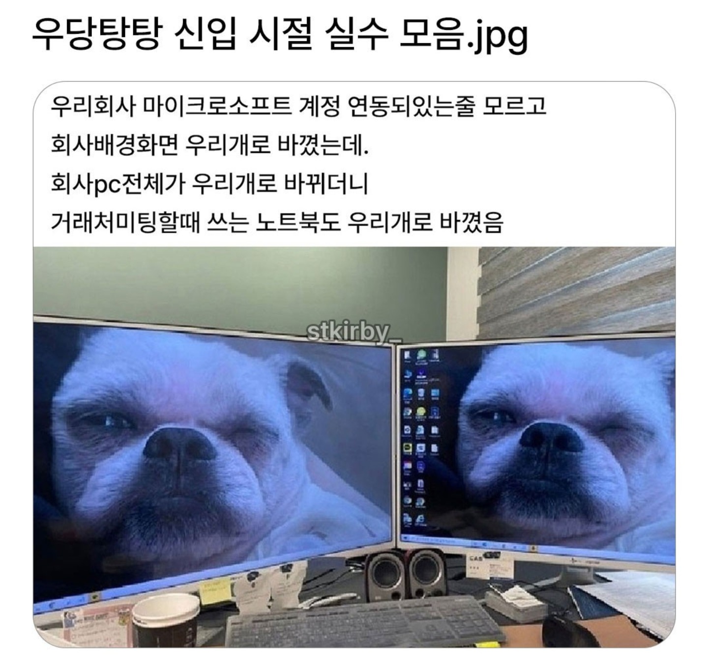 게시물 이미지