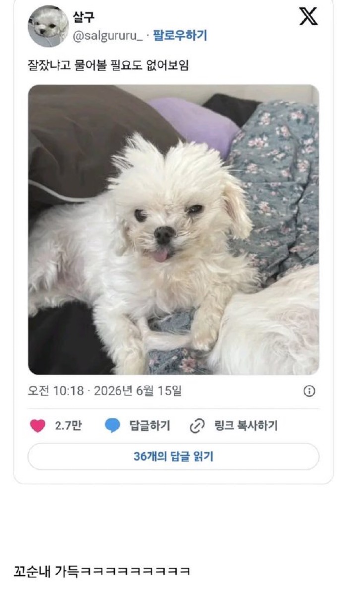 게시물 이미지