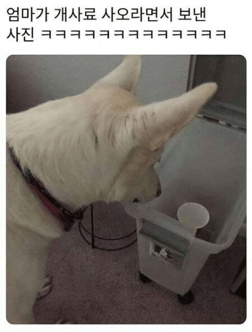 게시물 이미지