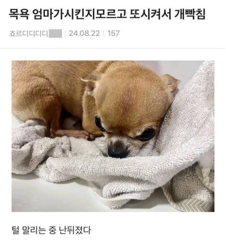 게시물 이미지