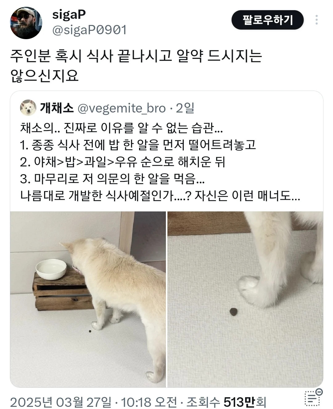 게시물 이미지
