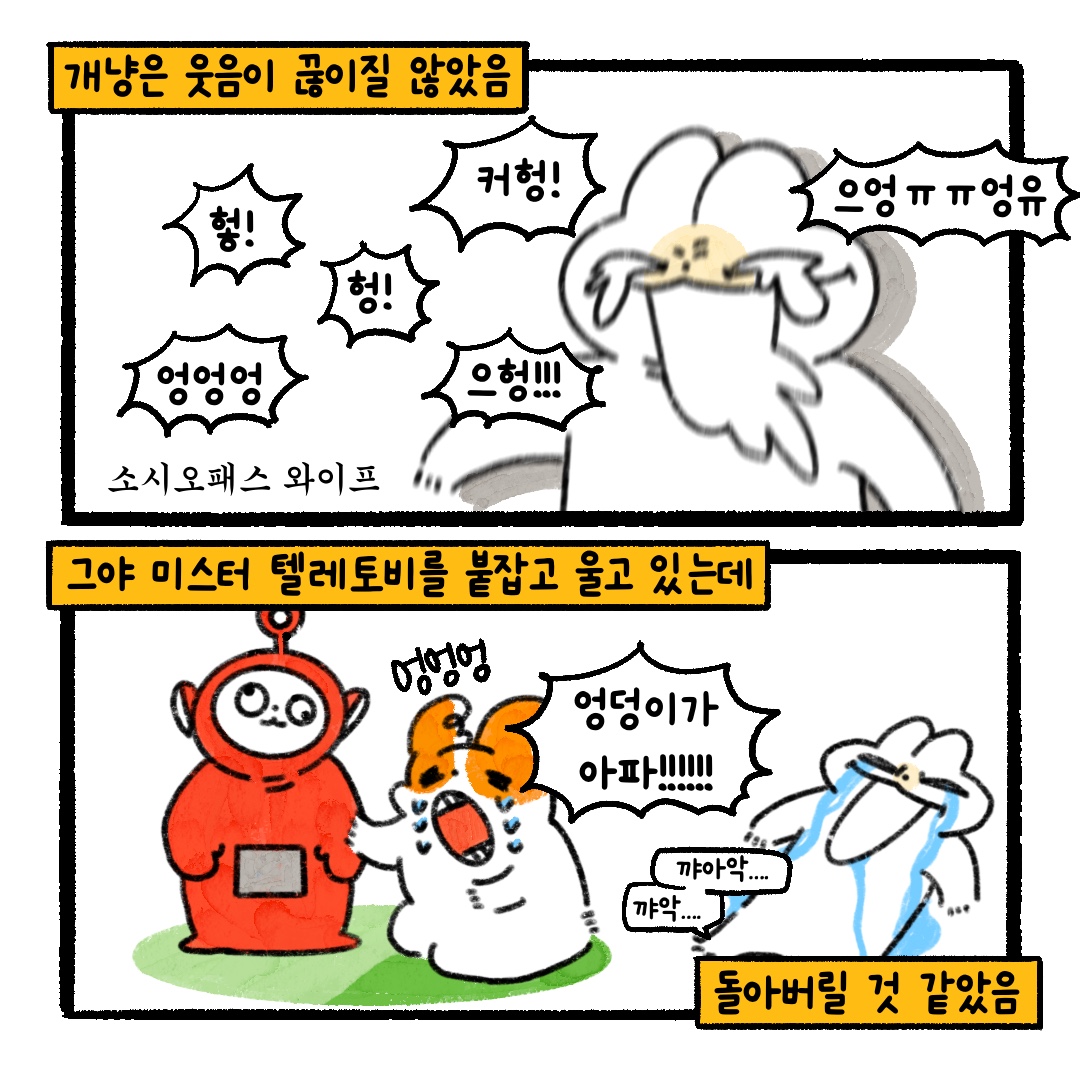 게시물 이미지
