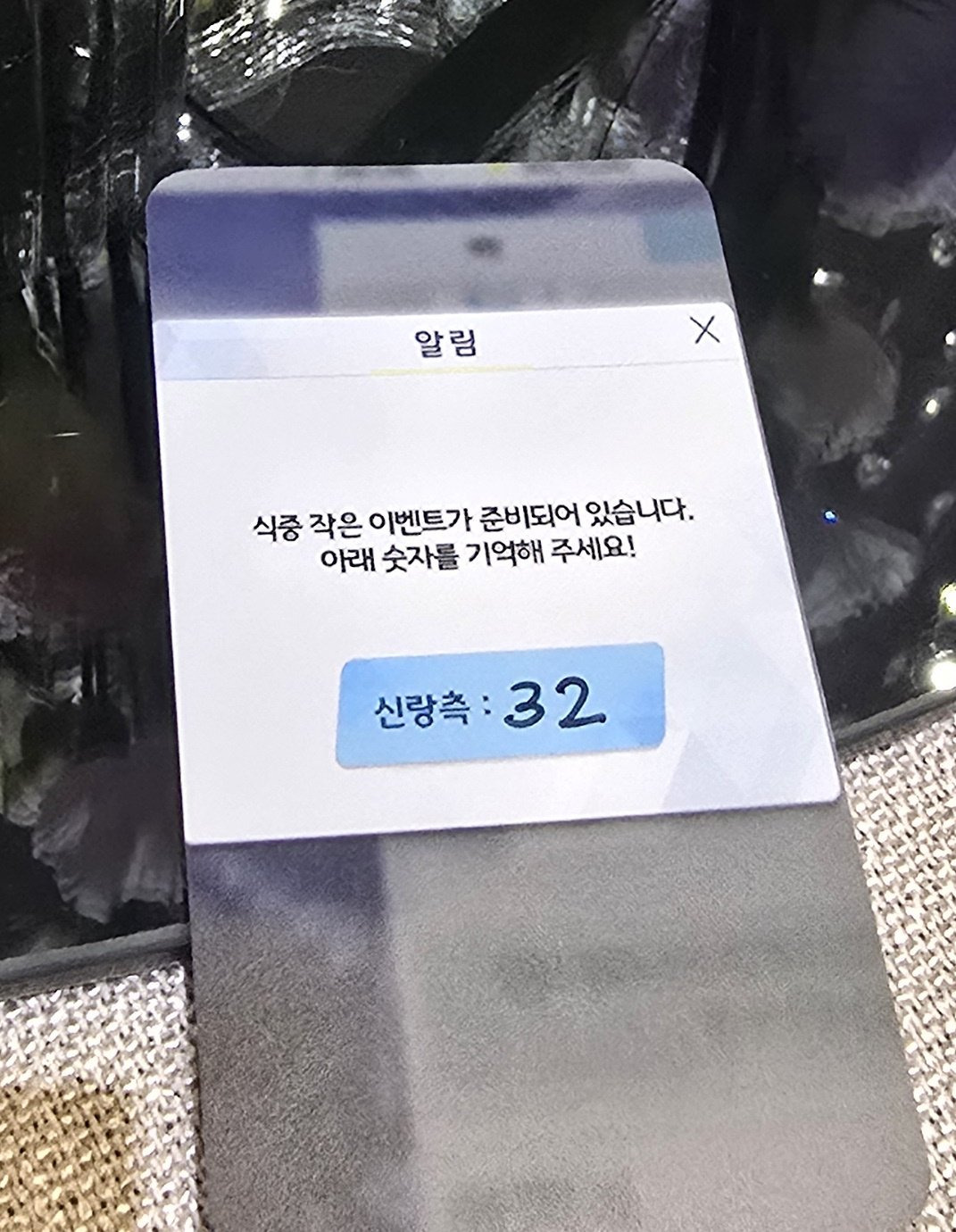게시물 이미지