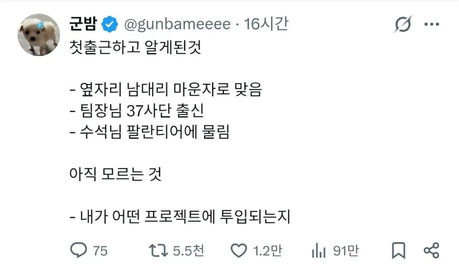 게시물 이미지