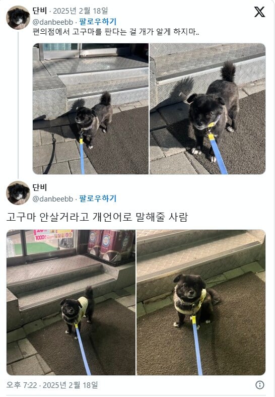 게시물 이미지