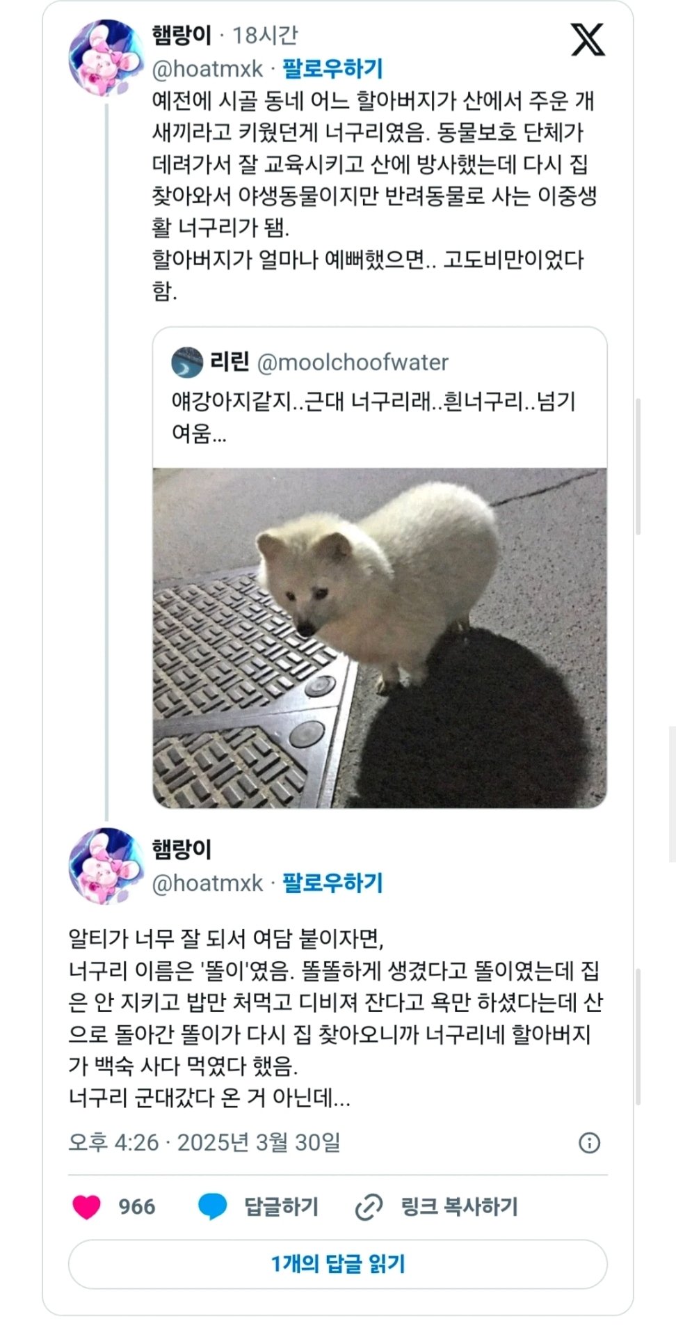 게시물 이미지