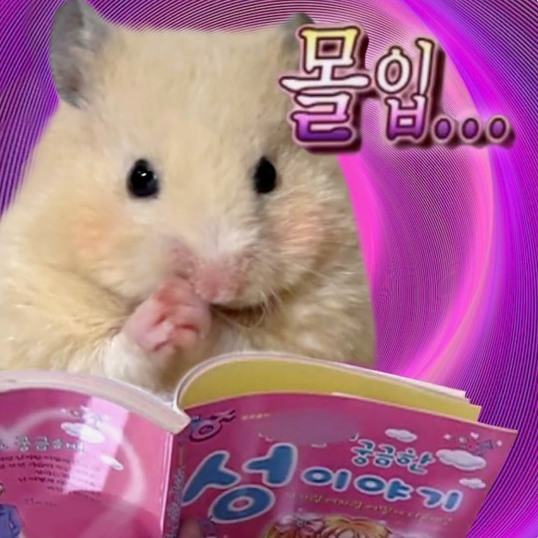 게시물 이미지