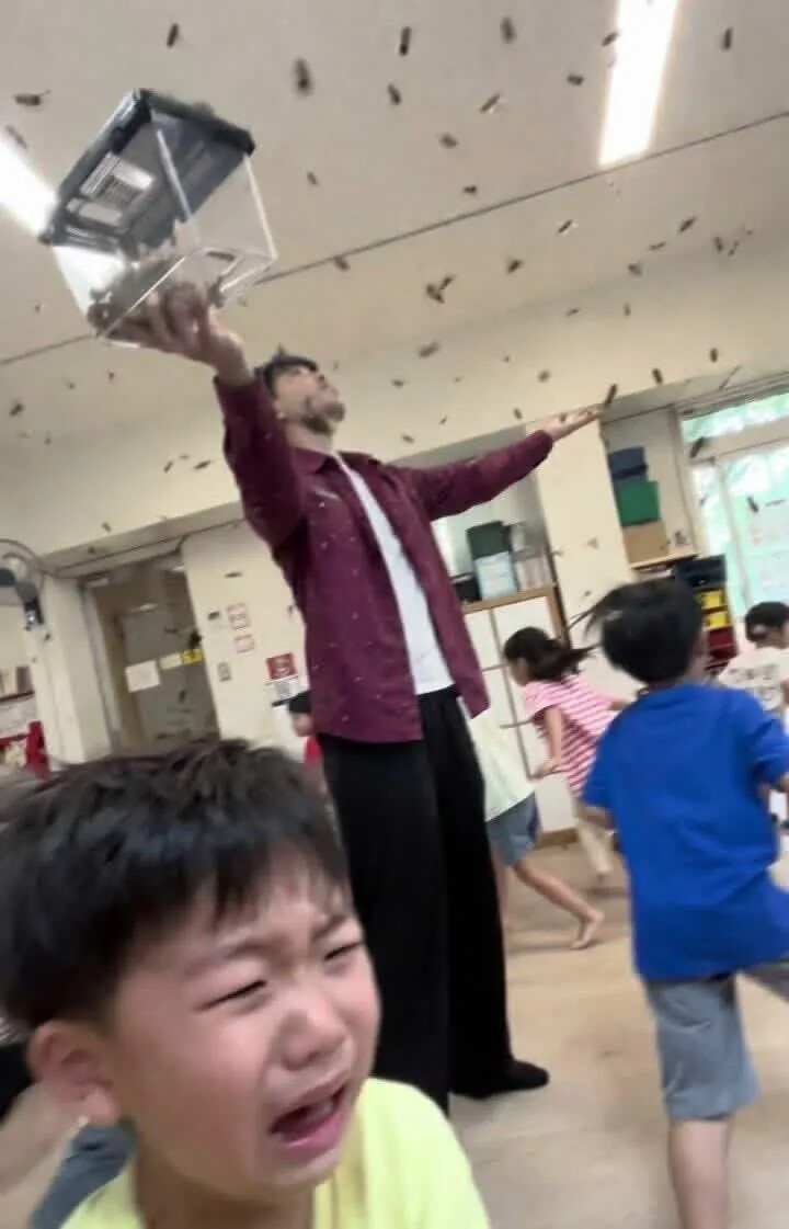 게시물 이미지