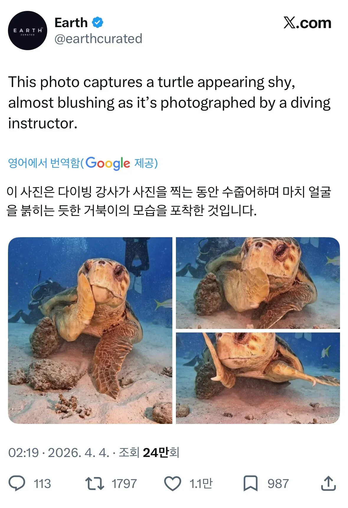 게시물 이미지