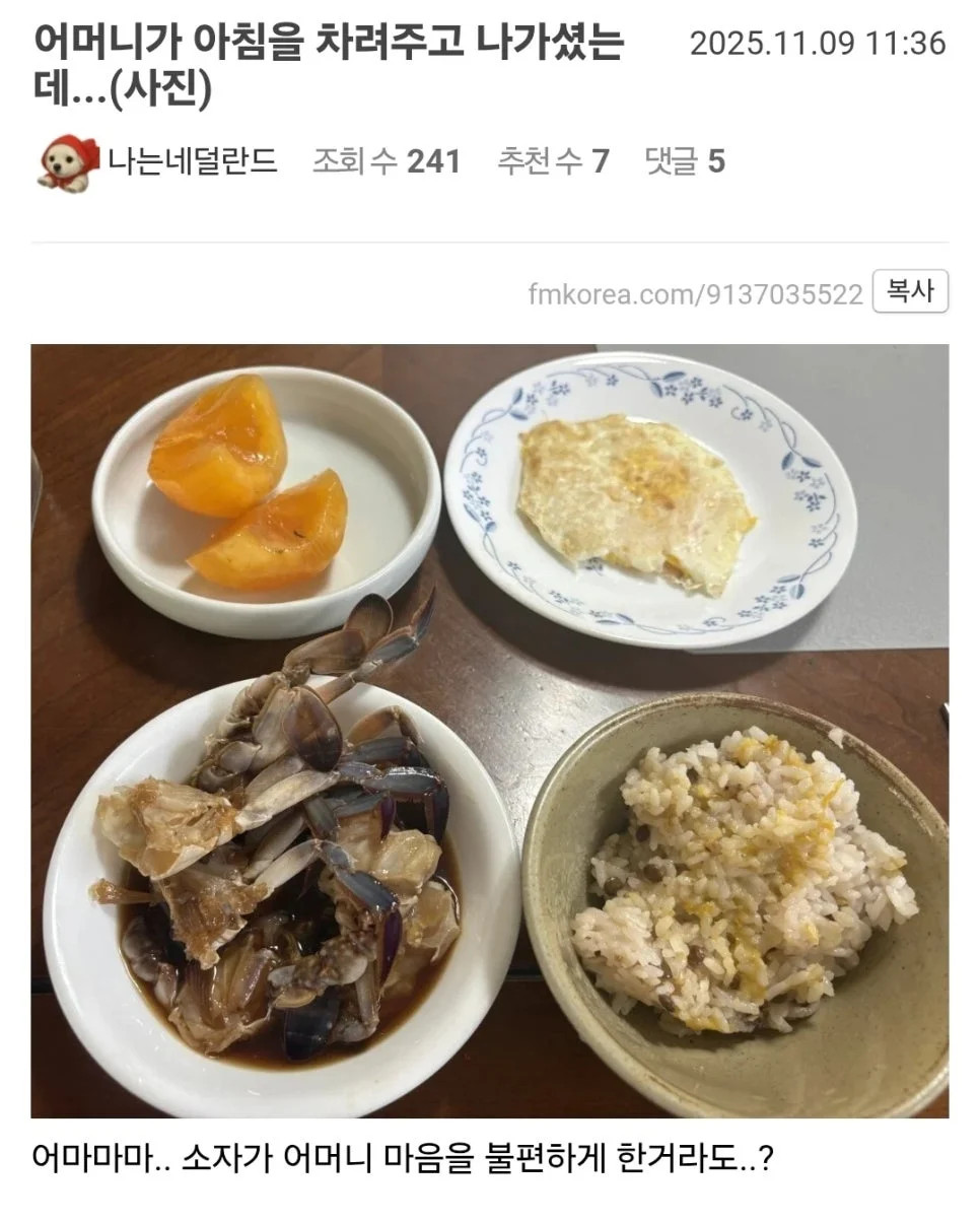 게시물 이미지