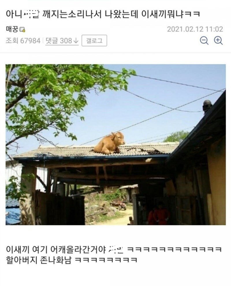 게시물 이미지