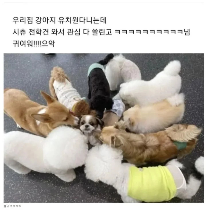 게시물 이미지