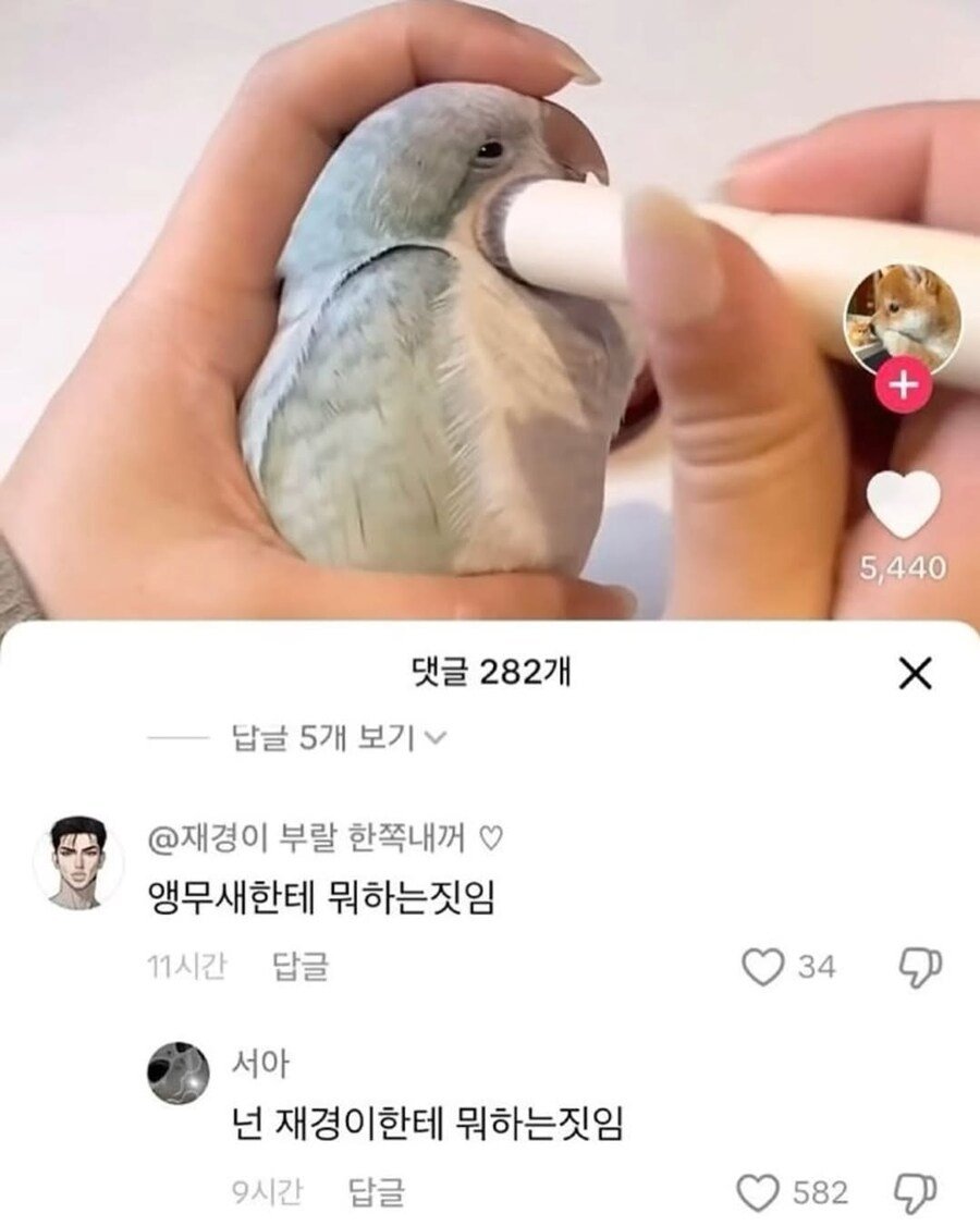 게시물 이미지