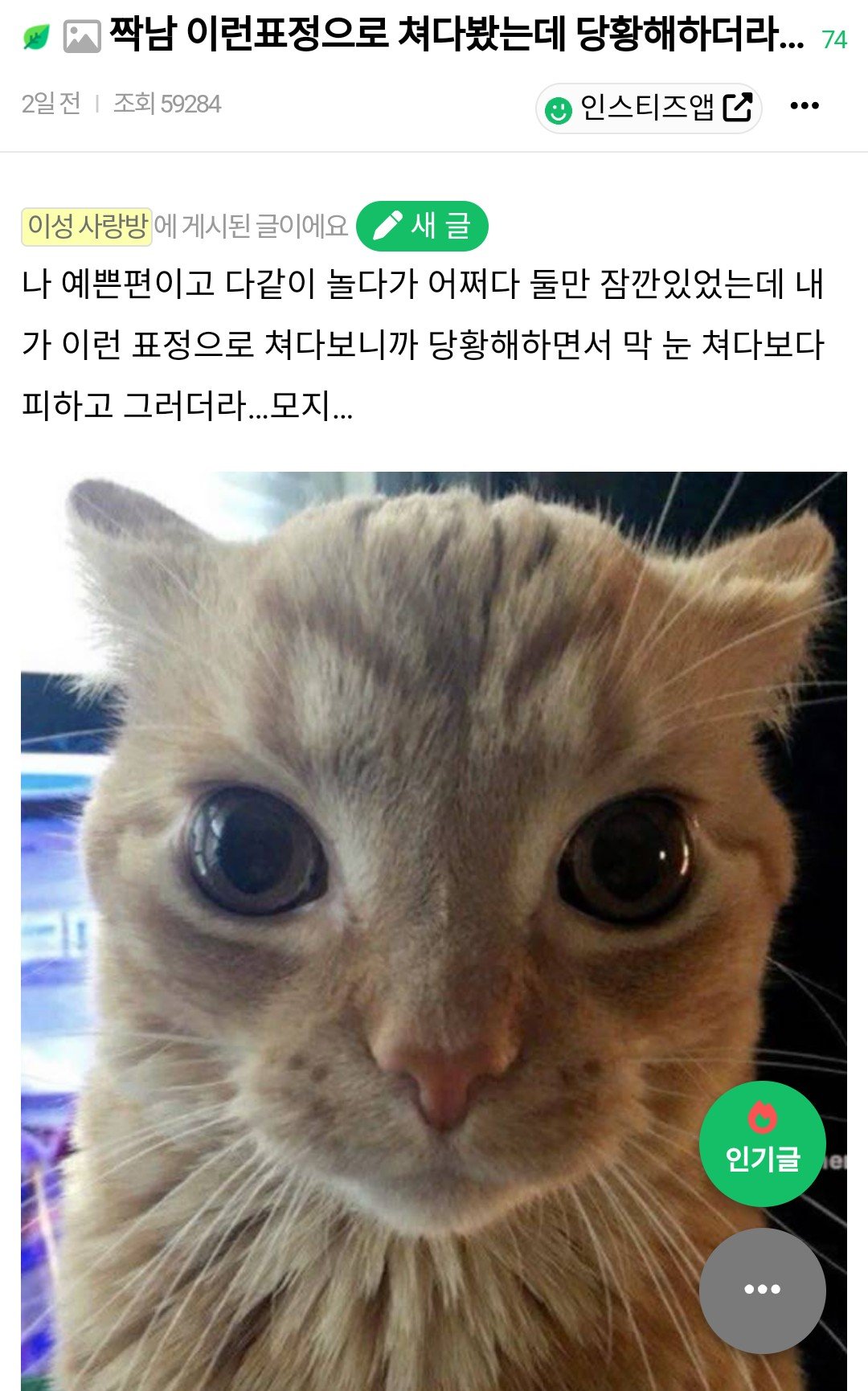 게시물 이미지