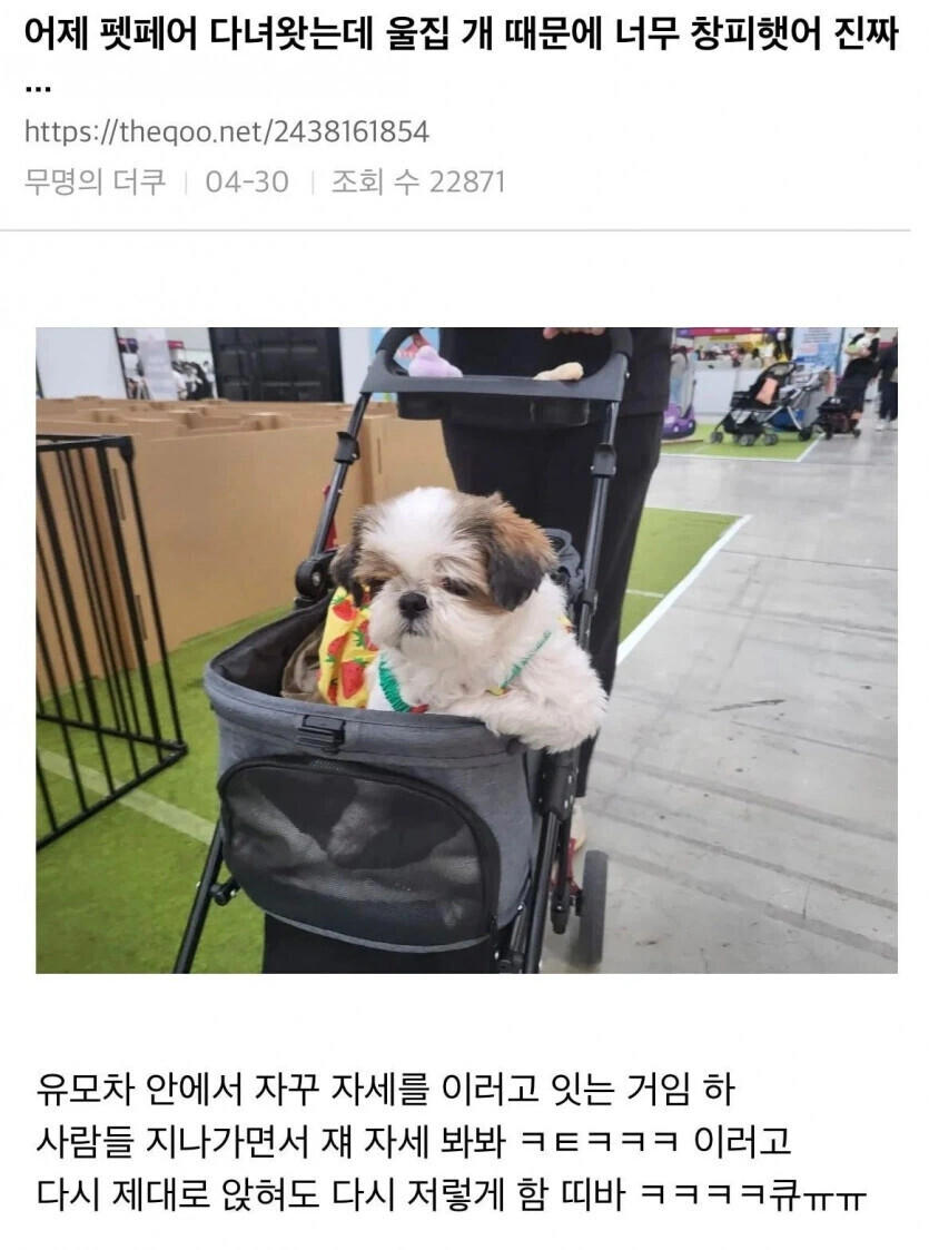게시물 이미지
