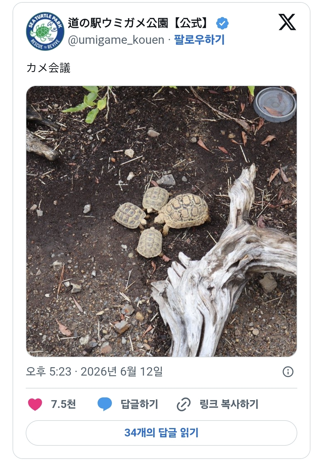 게시물 이미지